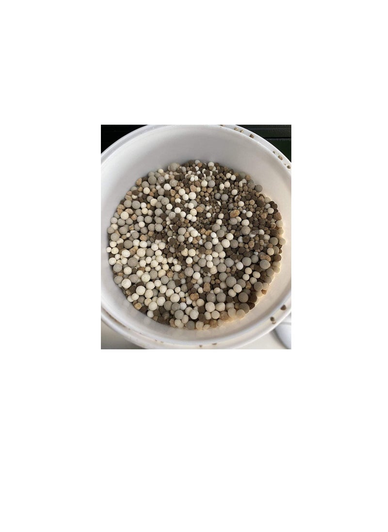 DESERT ENERGY Bougainvillea Feed Fertilizer Balanced Fertilizers with A Nitrogen Phosphorus And Potassium N P K,1kg  - Image 2