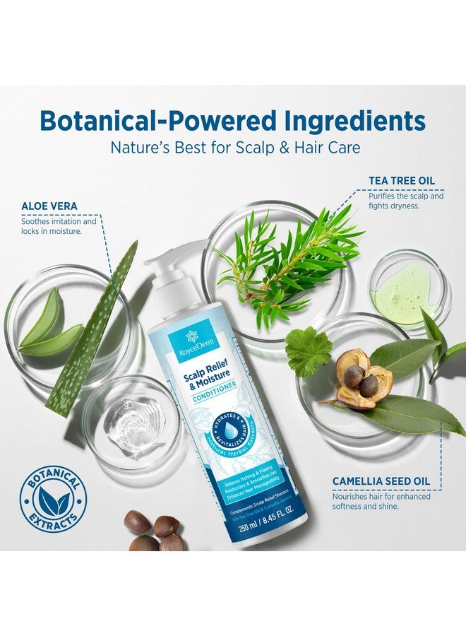 Roycederm Scalp Relief & Moisture Conditioner: Hydrating & Nourishing Formula with Jojoba Oil, Aloe Vera & Camellia Oil, Soothes Dry, Itchy Scalp - Image 3