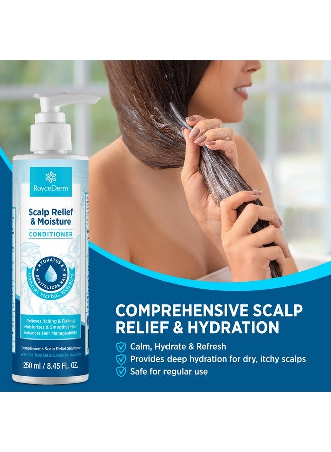 Roycederm Scalp Relief & Moisture Conditioner: Hydrating & Nourishing Formula with Jojoba Oil, Aloe Vera & Camellia Oil, Soothes Dry, Itchy Scalp - Image 2