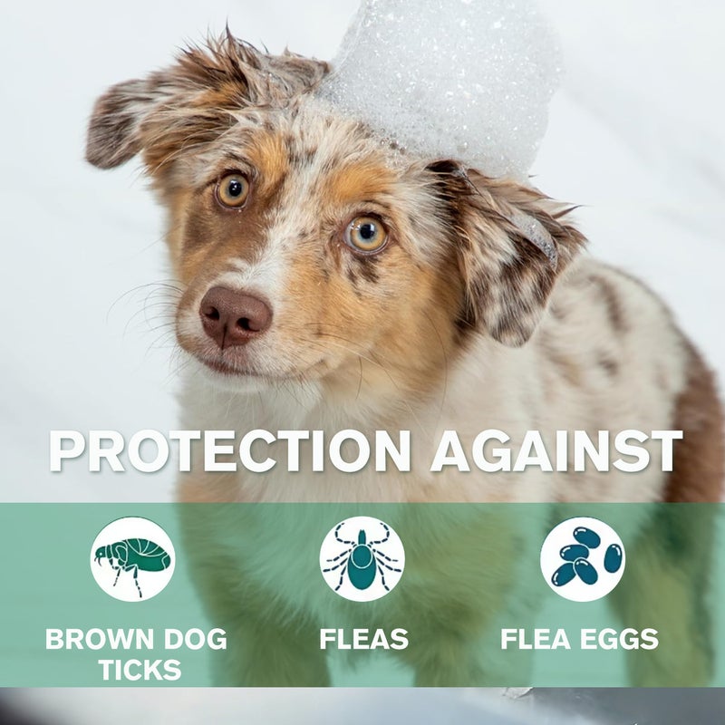 Danliss Flea & Tick Dog Shampoo - Herbal Formula,    300ml - Image 4