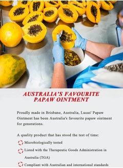 Lucas Papaw Lucas pawpaw ointment 75g  - Image 4