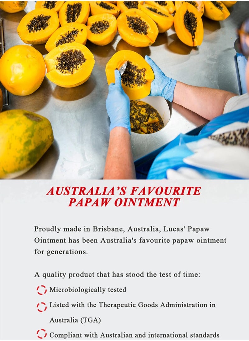 Lucas Papaw - Lucas pawpaw ointment 75g - Image 1
