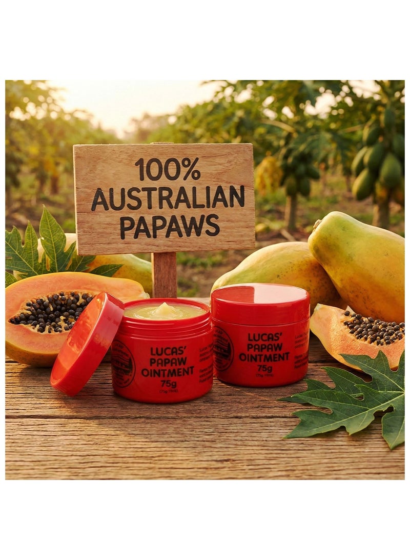 Lucas Papaw Lip Ointment, Lucas Papaw Cream, Lucas Papaw Ointment for Lips & Dry Skin, Trusted Australian Formula- Unique All Skin Types, All Gender, 75g - Image 5