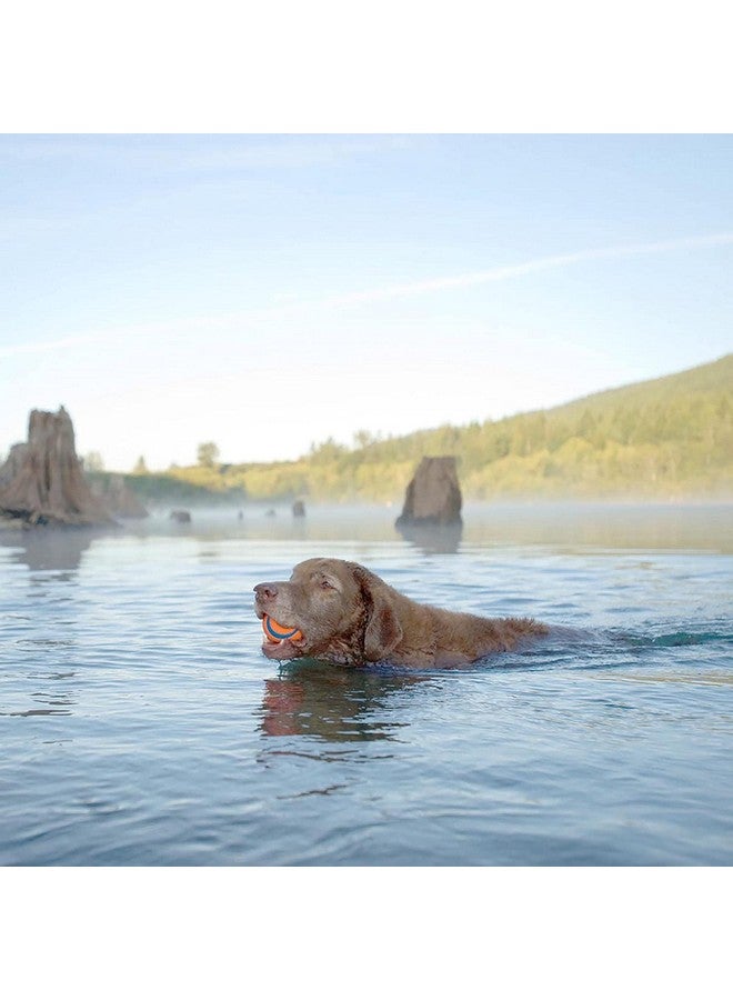 Chuckit! Dog Fetch Toy ULTRA BALL Durable Rubber Fits Launcher LARGE 4 PACK4 - Image 4