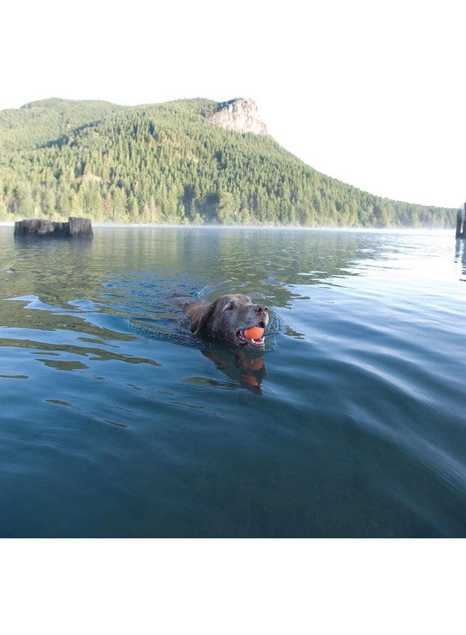 Chuckit! Dog Fetch Toy ULTRA BALL Durable Rubber Fits Launcher LARGE 4 PACK4 - Image 5