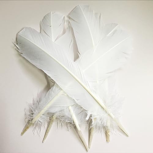XKTEI 24Pcs White Turkey Feathers 10~12in Long,Beautiful Feather for Crafts 26-31cm,Bulk Big Size Bilateral Natural Feather,for Wedding Dress and Party Decoration,DIY Fabricating Handicraft Article (White) - Image 3