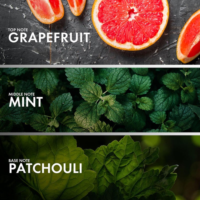 Craftier Perfume GRAPEFRUIT MINT - Inspired of-INVICTUS PLATINUM, Eau De Parfum for Men - 50ml, Long Lasting Aromatic Fragrance Upto 16 Hrs, Travel Size Men's Perfume - Image 4
