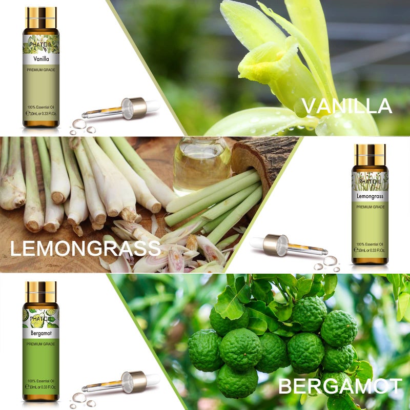 PHATOIL مجموعة زيوت عطرية أساسية فاخرة من PHATOIL تتكون من 9 قطع لصنع الصابون والموزعات، 10 مل/0.33 أونصة سائلة زيوت عطرية، روائح تدوم طويلاً، مجموعة هدايا مثالية للأصدقاء والعائلة - Image 2