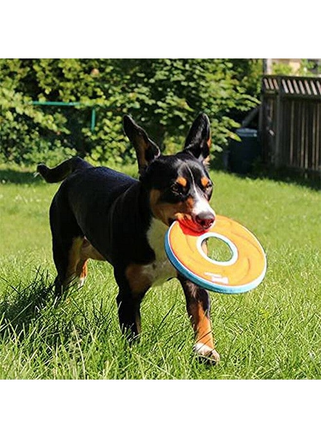 Chuckit! Chuckit Zipflight Amphibious Flying Ring - Assorted Small - 6 in. Diameter (4 Pack) - Image 3