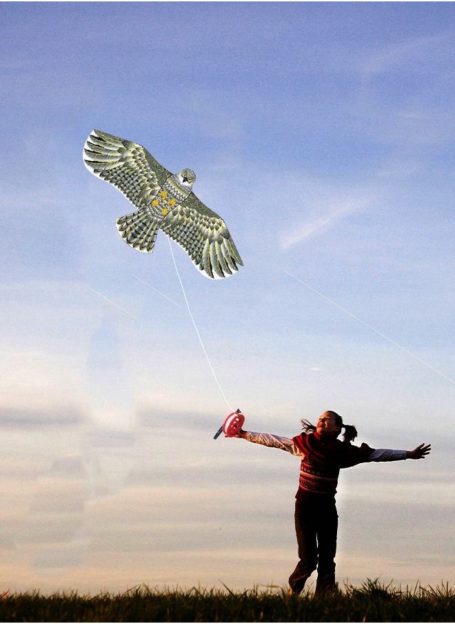 GROIC - Eagle Kite for Kids and Adults Single Line String Colorful Huge Easy to Fly for Beach Trip Park Family Outdoor Games 63 Inch Blue - Image 1