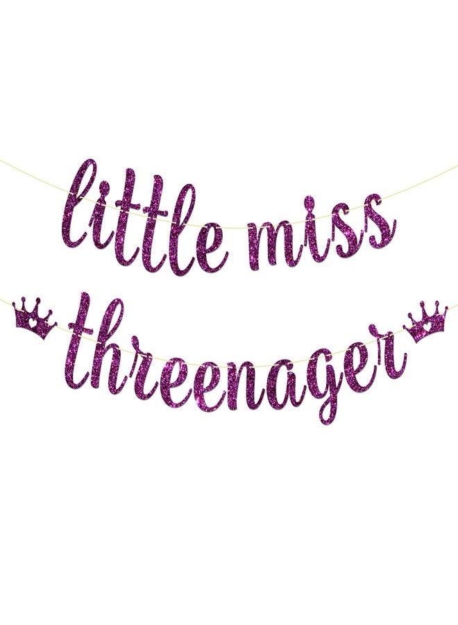 Maicaiffe Little Miss Threenager Banner - Girl's 3rd Birthday Party Decor - Three Years Old - Princess 3rd Birthday Party Decorations, Purple Glitter - Image 1