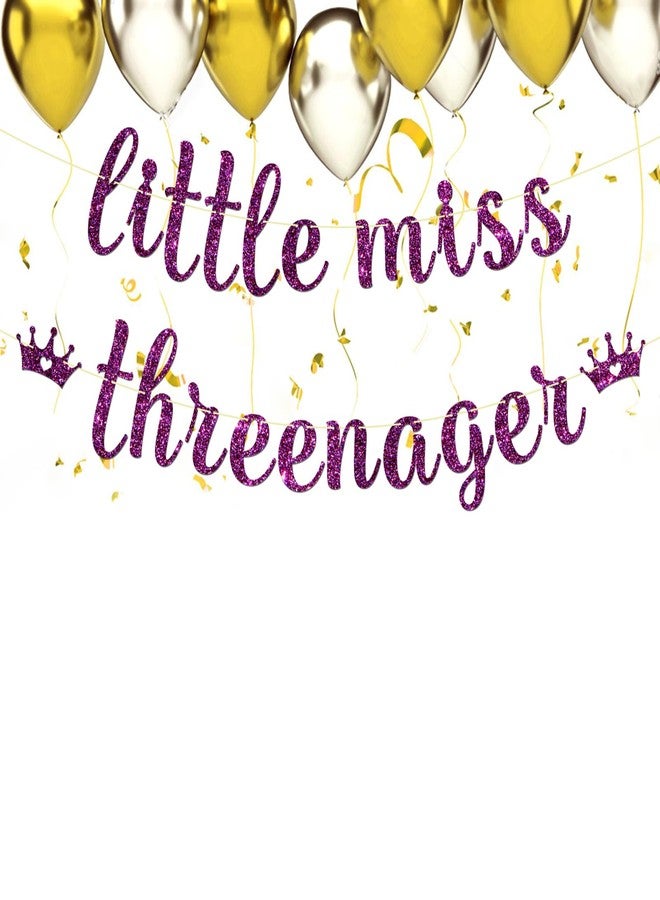 Maicaiffe Little Miss Threenager Banner - Girl's 3rd Birthday Party Decor - Three Years Old - Princess 3rd Birthday Party Decorations, Purple Glitter - Image 4