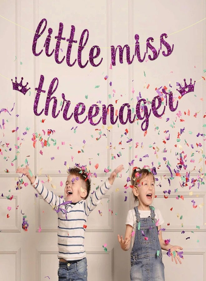 Maicaiffe Little Miss Threenager Banner - Girl's 3rd Birthday Party Decor - Three Years Old - Princess 3rd Birthday Party Decorations, Purple Glitter - Image 5