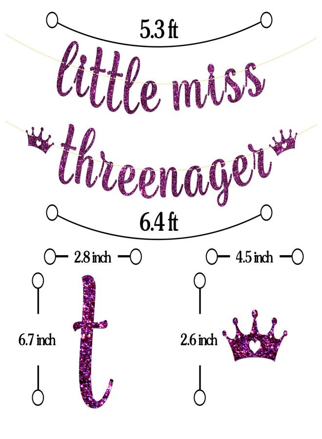 Maicaiffe Little Miss Threenager Banner - Girl's 3rd Birthday Party Decor - Three Years Old - Princess 3rd Birthday Party Decorations, Purple Glitter - Image 2