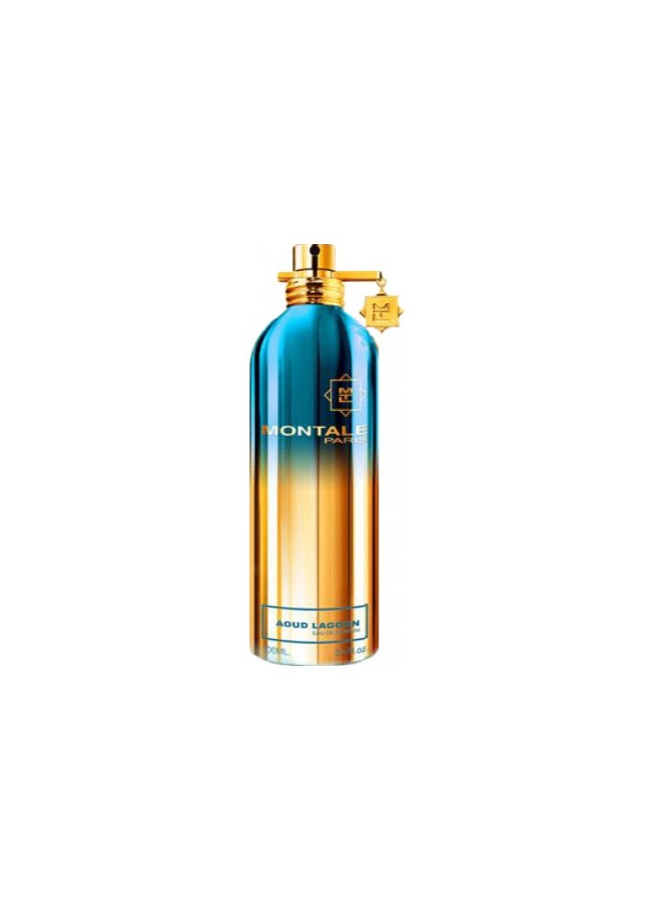 مونتال باريس (أوروبا) ماء عطر العود لاجوون 100ملليلتر  - Image 3