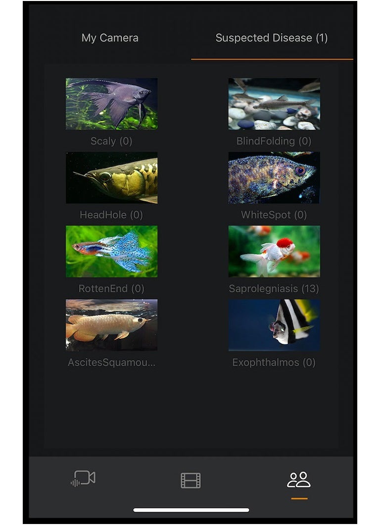 GalaVision - 4K Underwater Camera, 8MP Lens, Magnetic Mount, IP68 Waterproof, Real-Time Live Streaming, Night Vision, AI Fish Disease Detection, Wireless App Control, For Aquarium Tanks - Image 1
