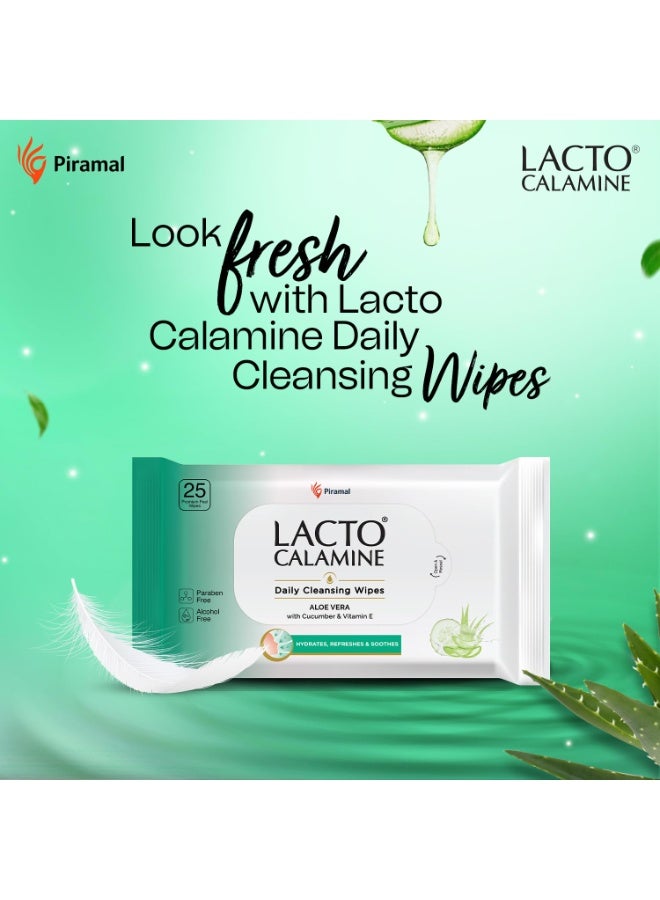 لاكتو كلامين مناديل لاكتو كالامين لتنظيف الوجه يوميًا، ٢٥ منديلًا لكل مناديل - عبوة من قطعتين | مناديل لإزالة المكياج | مناديل مبللة للوجه بخلاصة الصبار والخيار وفيتامين هـ | مناديل مبللة للنساء والرجال - Image 2