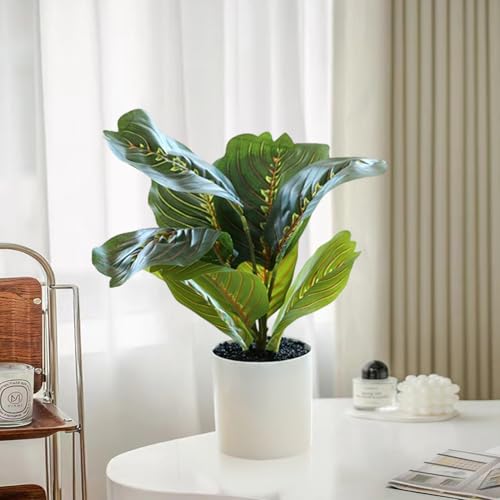 Ekhasa Nostrae Corton Calatheas Artificial Plant for Home Decor with Pot (34 CM, 8 Leaves) | Fake Faux False Show Plastic Decorative Potted Plants for Living Room, Office, Green Plant for Decor - Image 1