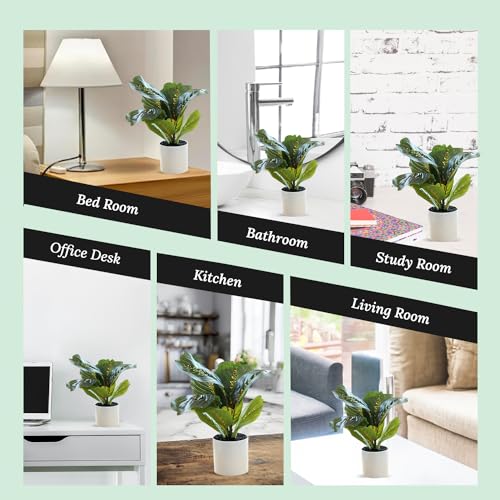 Ekhasa Nostrae Corton Calatheas Artificial Plant for Home Decor with Pot (34 CM, 8 Leaves) | Fake Faux False Show Plastic Decorative Potted Plants for Living Room, Office, Green Plant for Decor - Image 5