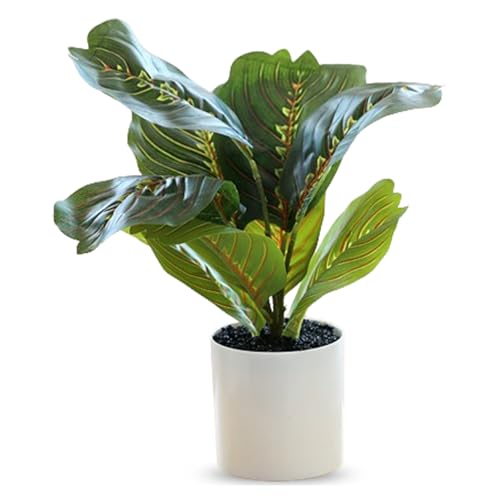 Ekhasa Nostrae Corton Calatheas Artificial Plant for Home Decor with Pot (34 CM, 8 Leaves) | Fake Faux False Show Plastic Decorative Potted Plants for Living Room, Office, Green Plant for Decor - Image 2