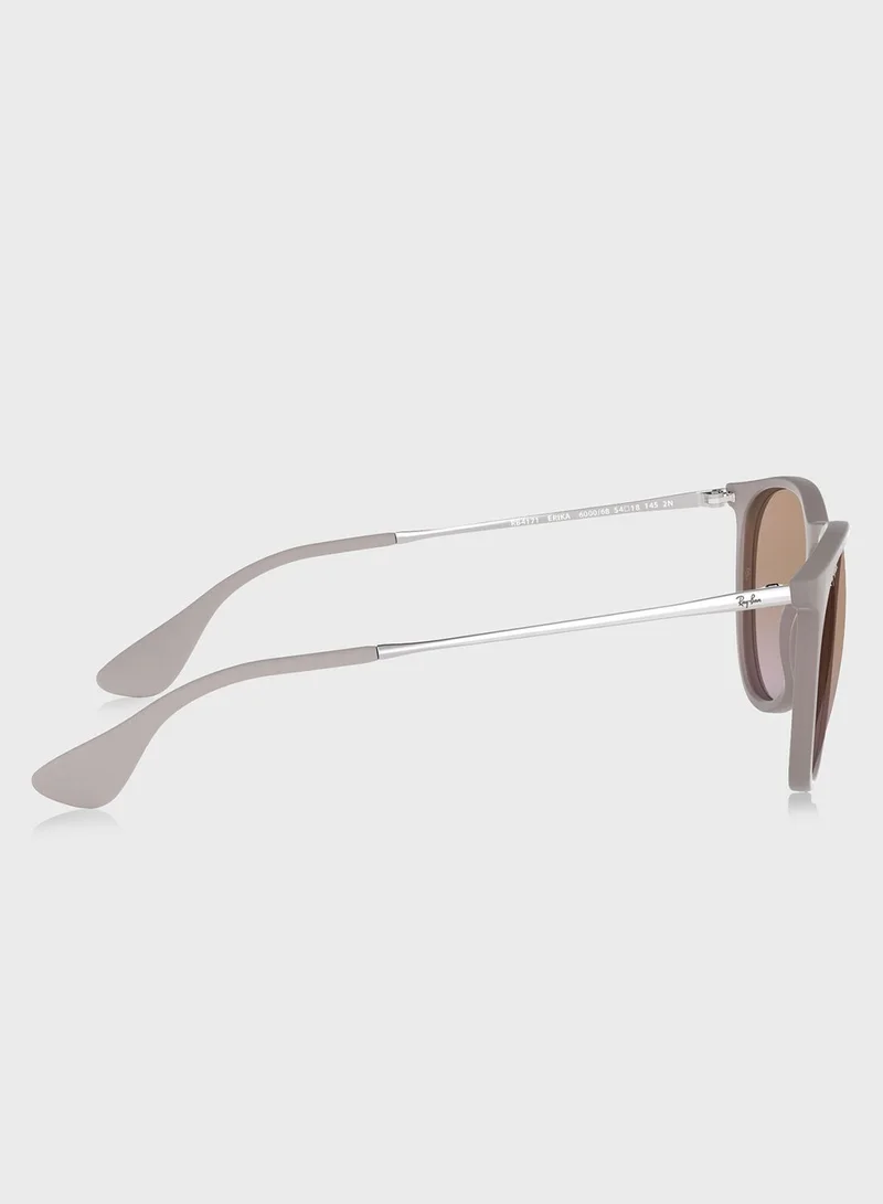 Ray-Ban 0RB4171 Erika-Piloto Sunglasses