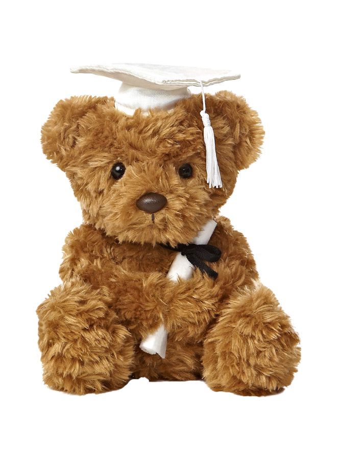 NIBEMINENT Graduation Bear Teddy 08705 8.5inch