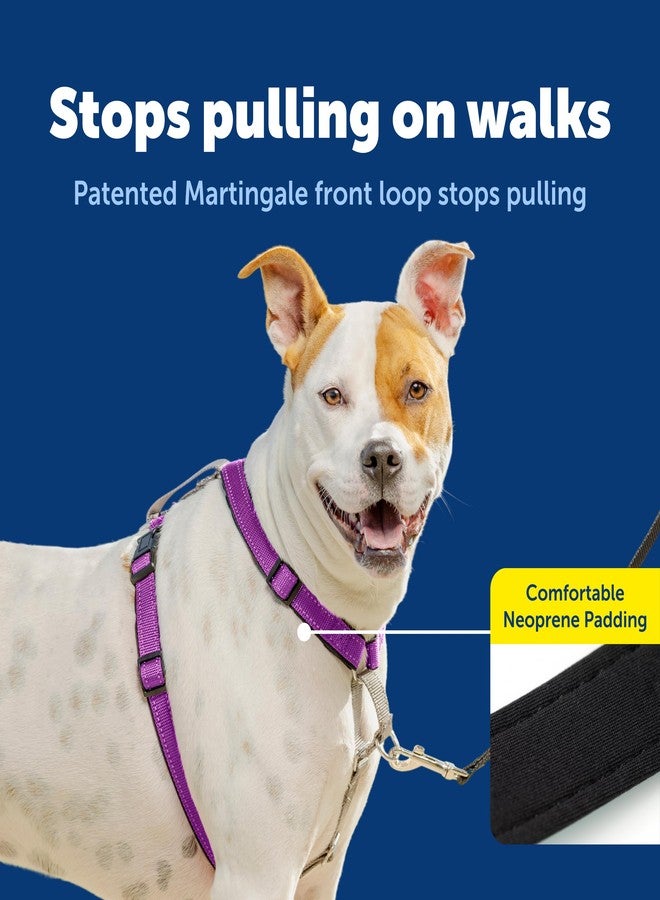 بيت سيف حزام صدر للكلاب 3 في 1 من بيت سيف - حزام صدر مريح وسهل المشي مع مشبك أمامي للرباط لتقليل الشد والاختناق والتقيؤ - معدات تدريب الكلاب على الطاعة - متوسط - برقوقي - Image 3