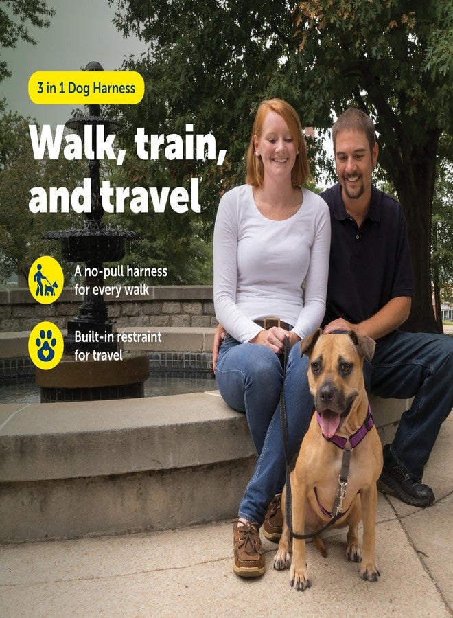 بيت سيف حزام صدر للكلاب 3 في 1 من بيت سيف - حزام صدر مريح وسهل المشي مع مشبك أمامي للرباط لتقليل الشد والاختناق والتقيؤ - معدات تدريب الكلاب على الطاعة - متوسط - برقوقي - Image 2