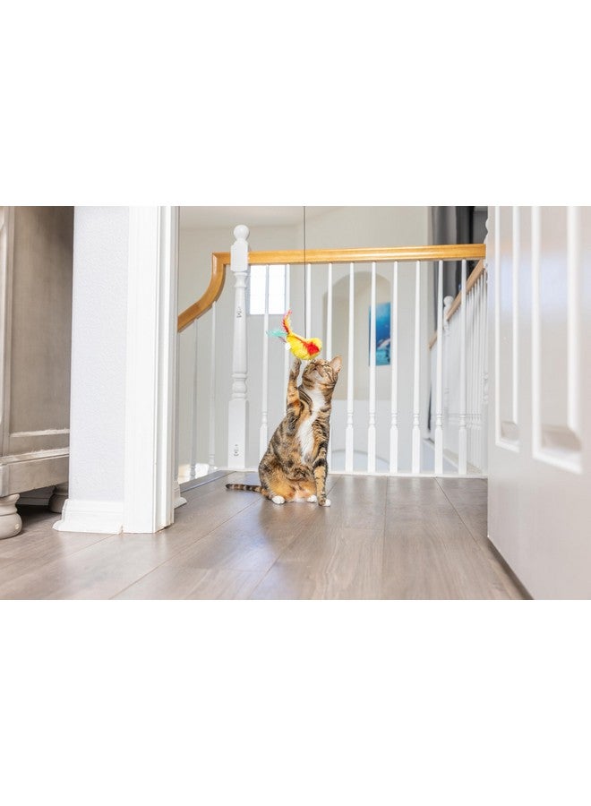 SPOT A-Door-Able Plush Bird Cat Toy | Rattle and Catnip Cat Toy Provides Hours of Entertainment for Your Cat | Hangs on Any Size Door Frame - Image 2