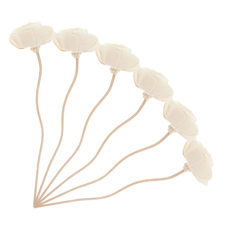 6pcs Dried Flower Diffuser Sticks Diffuser Sticks for home - Image 3