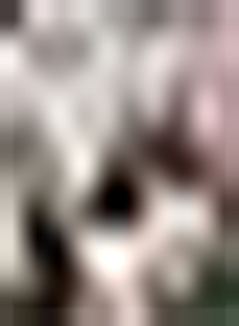 GGOOT 10Stück romantische Tulpenzwiebeln Topfblumenzwiebeln charmante attraktive Blumen besondere Sorte Lange Blütezeit einzigartige Farbe - Image 1