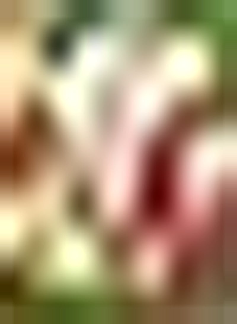 GGOOT 10Stück romantische Tulpenzwiebeln Topfblumenzwiebeln charmante attraktive Blumen besondere Sorte Lange Blütezeit einzigartige Farbe - Image 3