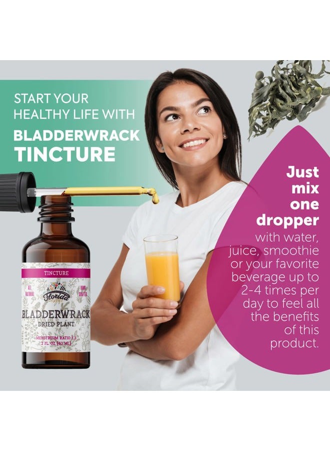 FLORIDA HERBS Bladderwrack Tincture, Organic Bladderwrack Extract (Fucus Vesiculosus) Dried Plant, Non-GMO in Cold-Pressed Organic Vegetable Glycerin 2 Oz, 670 mg - Image 2