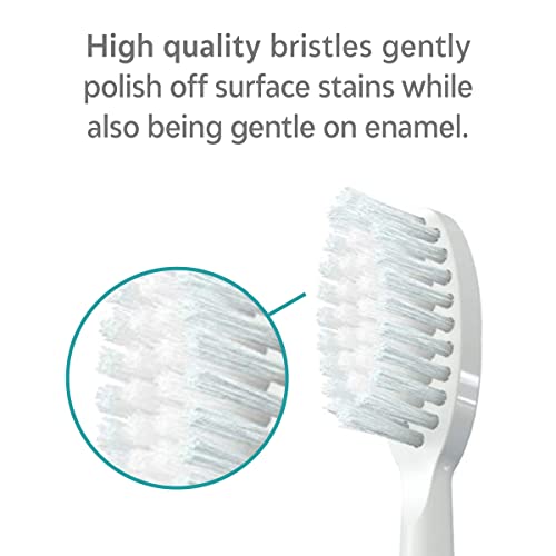 TAO Clean Sonic Electric Toothbrush Replacement Heads (3-Pack) – Replacement Heads for the TAO Clean Electric Toothbrush and Docking Station, White - Image 2