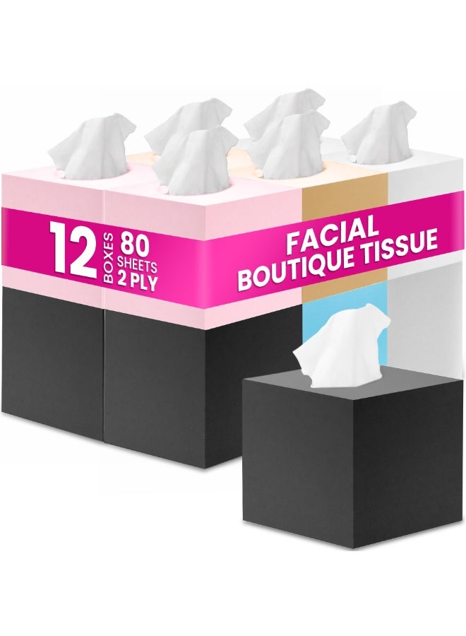 SNH Packing Cubic Box Facial Tissue Pack of 12, 2 Ply x 100 Tissues Each Cube Box - Image 1