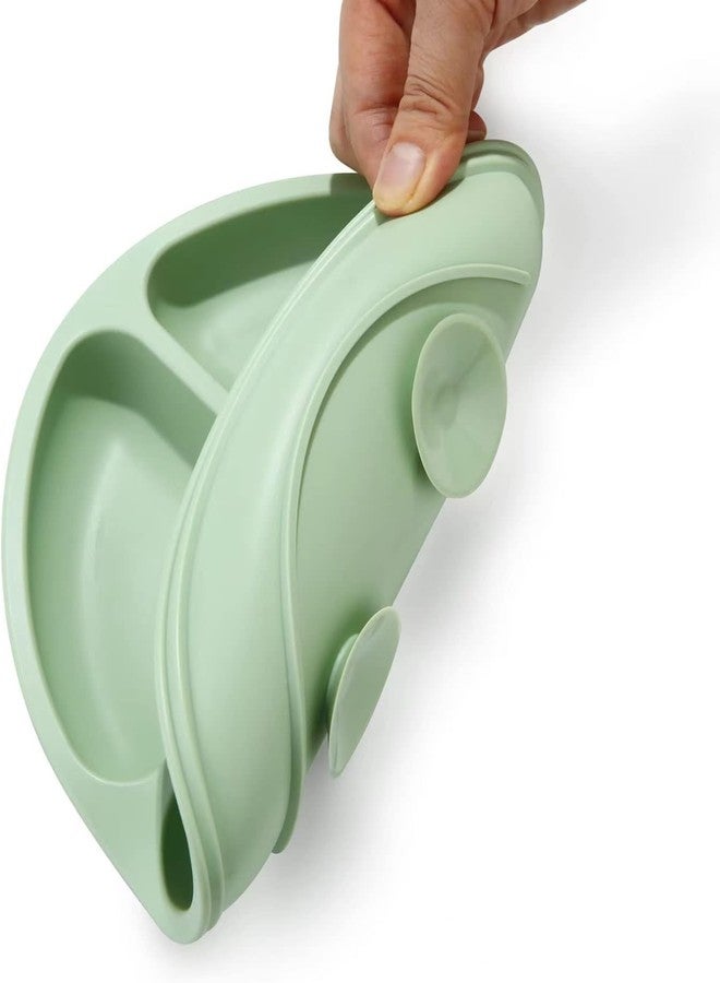 Xpandio Toddler Plates, Silicone Divided Suction Plate for Babies, BPA-Free 100% Food-Grade Silicone Unbreakable Baby Plate - Image 5