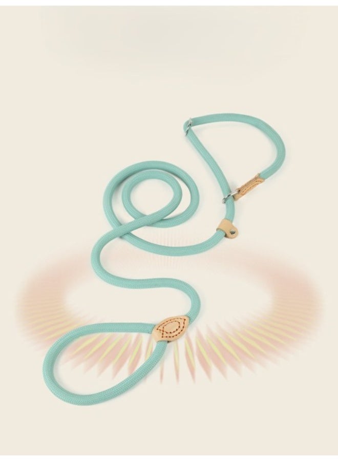 حبل تدريب للكلاب شديد التحمل ومتين للغاية، مقاس 1.4 سم × 1.8 متر، مناسب للجراء والكلاب الصغيرة والمتوسطة والكبيرة، مزود بحلقة تدريب لمنع الشد أثناء المشي مع الحيوانات الأليفة. - Image 3