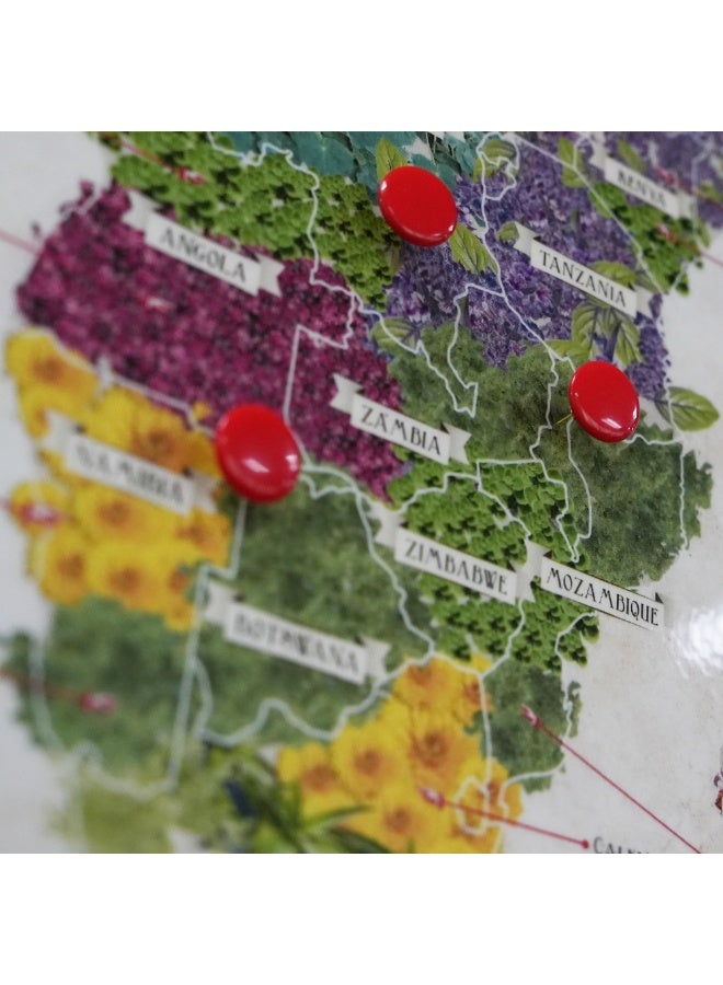 Multicolor Push Pins with Clear Storage Jar Durable Steel Thumb Tacks for Cork Boards Bulletin Boards Notice Boards Office Home Craft Projects School Maps Decorative Use - Image 4