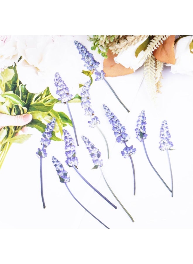 سيوسي Dried Pressed Flower Kit, Dry Flowers Craft Supplies for Resin Molds Bookmark, Wedding Invitations, Candle Making, Bulk Natural Decorations for Soaps, Frames & Cake Design (48-Piece, Purple) - Image 5