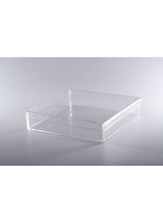 Acrylic Square Serving Box with Cover - pzsku/Z6A51E200348AAFFA2AADZ/45/_/1679653731/8fc07649-fae1-42f7-8584-11c31a07025b