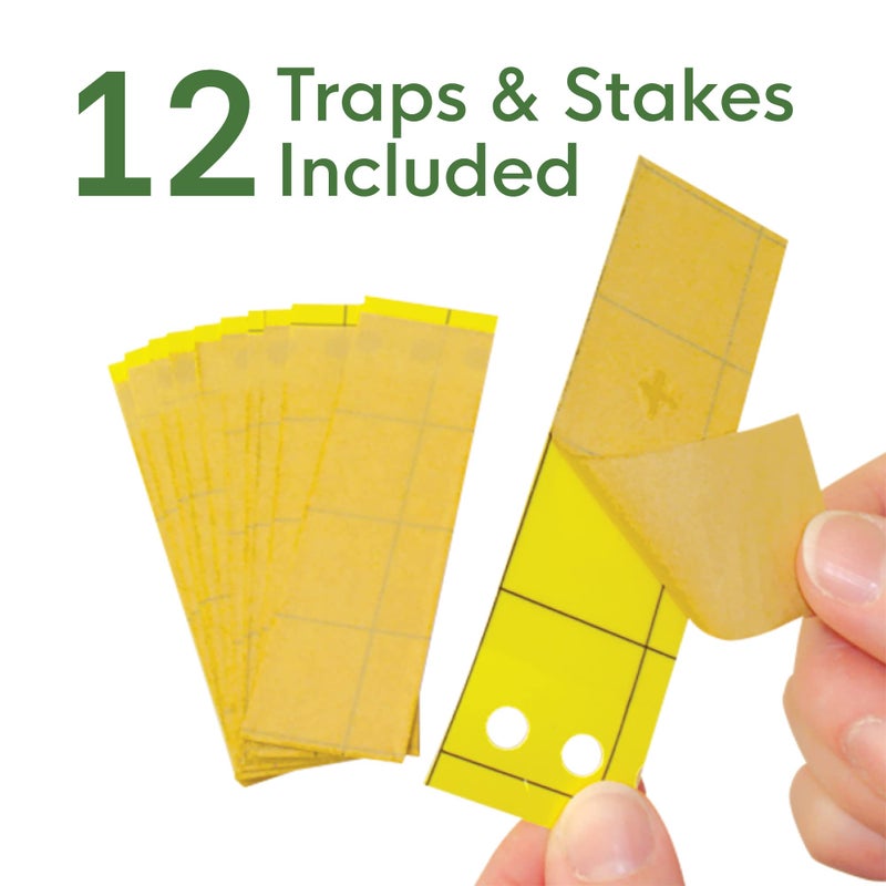 Biocare Springstar, S5333 BioCare Gnat Stix, Brown, (Pack of 12) - Image 4