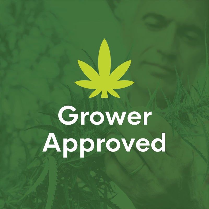 Biocare Springstar, S5333 BioCare Gnat Stix, Brown, (Pack of 12) - Image 5