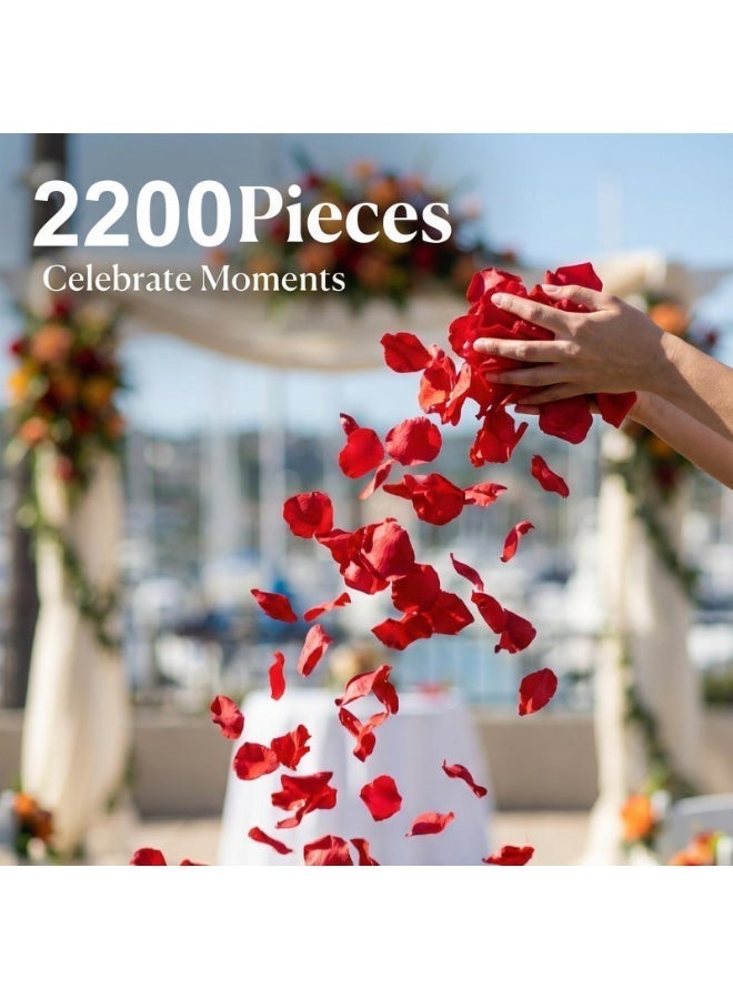 MirageBotanics 2200 PCS Artificial Red Silk Rose Petals for Romantic Night,Wedding,Proposal Anniversary Flower Decorations - Image 4