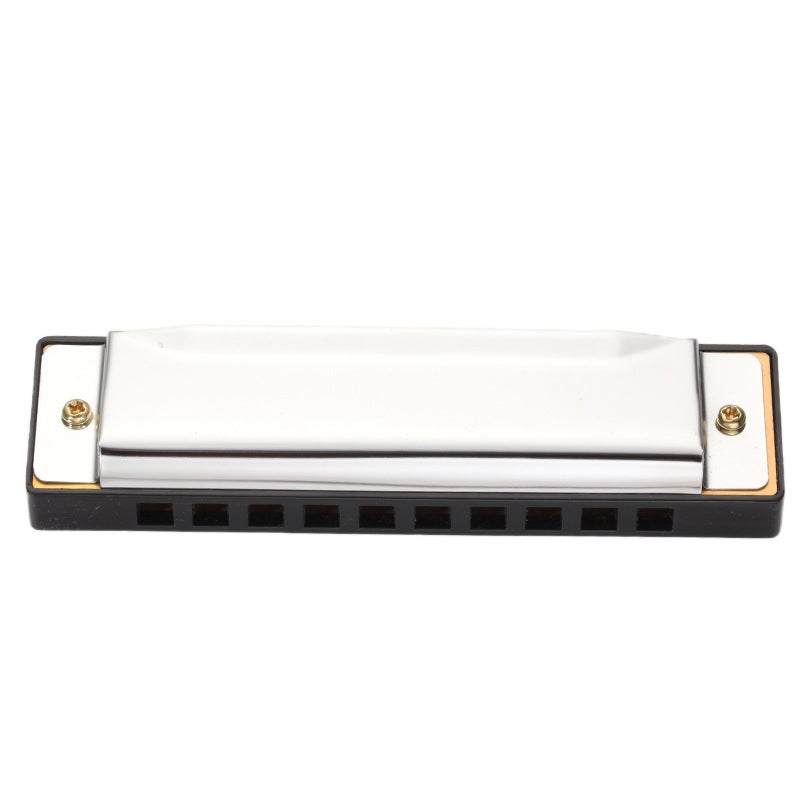 10 Hole Harmonica Silver Stainless Steel Cover - Classic Authentic Sound Transparent Case for Beginners Music Practice On-the-Go Play - Image 1