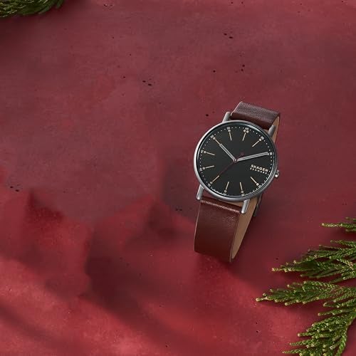 Skagen ساعة سكاجن للرجال بتصميم سيغناتور الكوارتز - Image 5