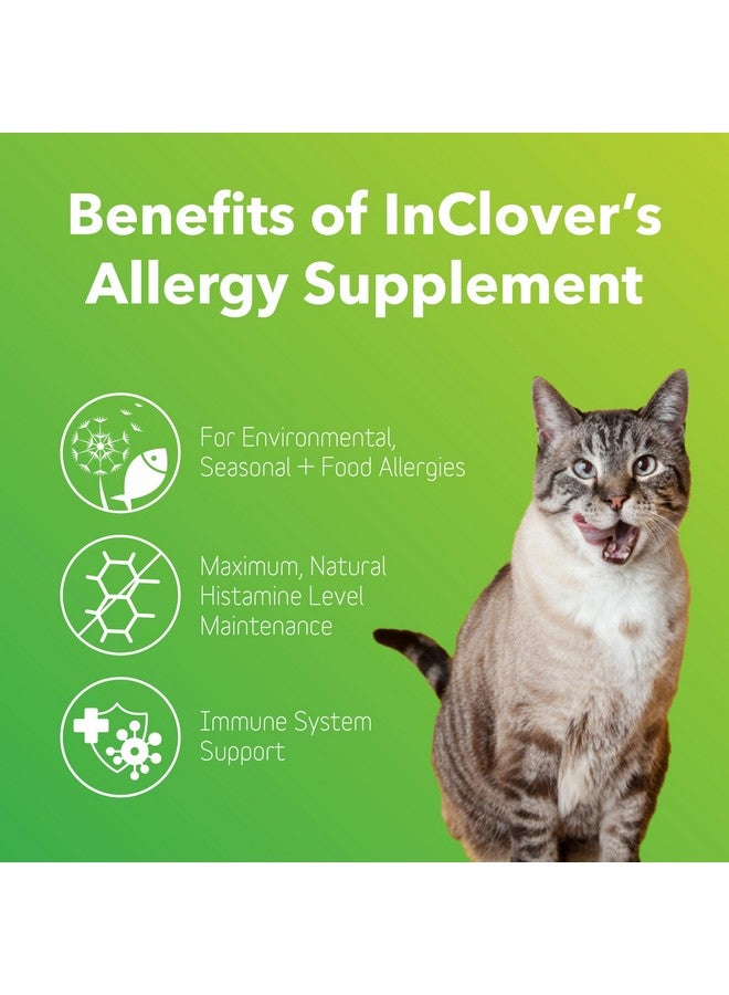 In Clover Dog Allergy Relief Supplement By Inclover, Bioresiliant Treat Powder Supplement For Dogs With Seasonal Allergies, Natural Dog Allergy Support With Turmeric, Mangosteen Helps Maintain Histamine Levels - Image 3
