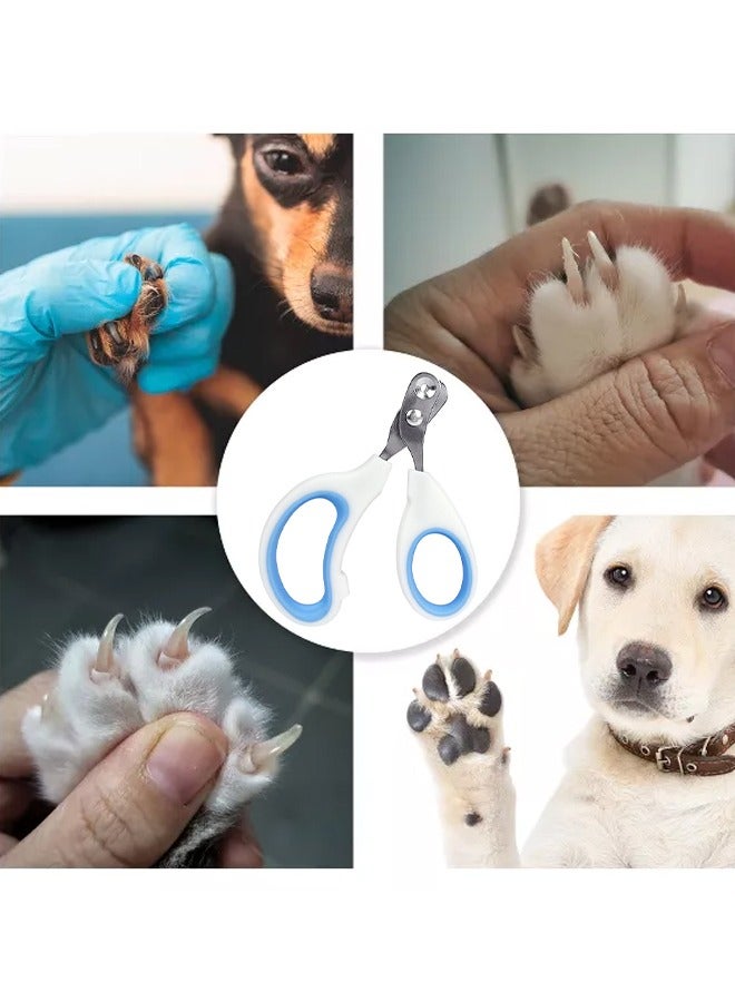 مقص أظافر الحيوانات الأليفة بفتحات دائرية باللون الأزرق لتجنب الإفراط في التقليم مناسب للمبتدئين في قص أظافر القطط والكلاب - Image 1