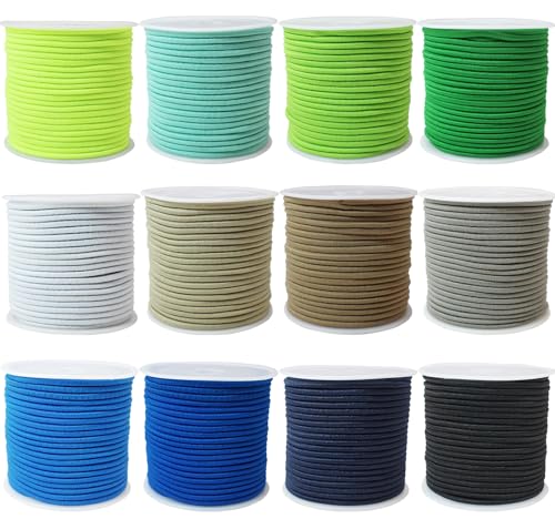 ZHFMLY 12rolls Colored Elastic Stretch String 2mm Blue Elastic Round Beaded Cord for Pony Silicone Bubble Beads Large Hole Bead Keychain Bracelet Small Bungee Shock Cord for DIY Crafts & Sewing 300ft(ZH170) - Image 1