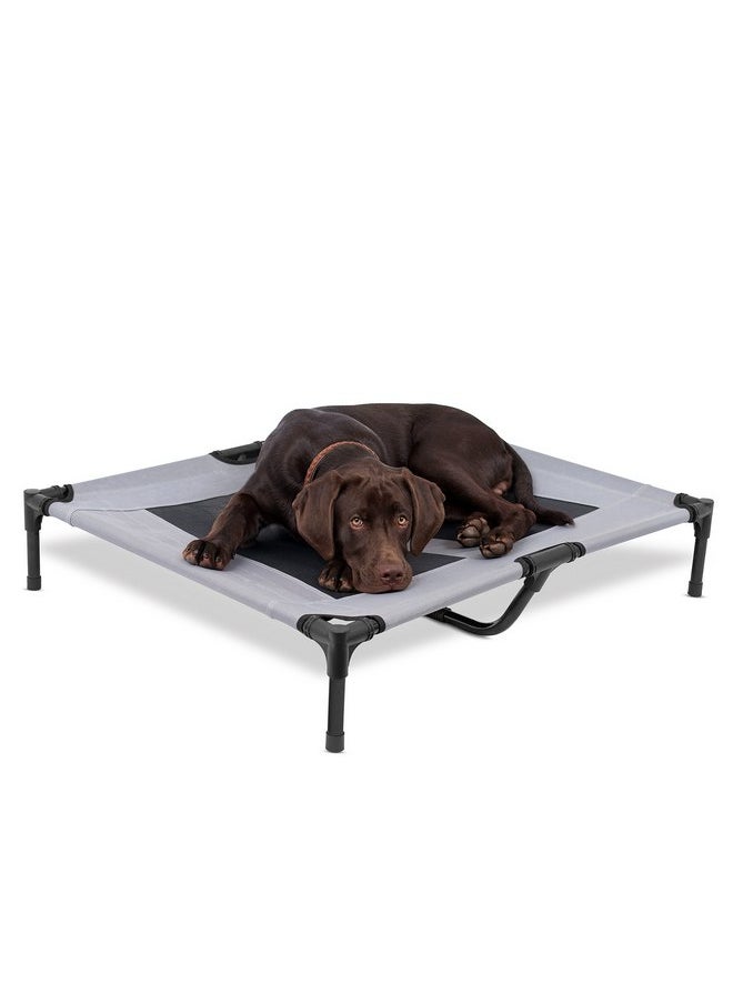 Internet's Best Internet's Best Dog Cot - 36 x 30 - Elevated Dog Bed - Cool Breathable Mesh - Indoor or Outdoor Use - Medium - Grey  - Image 1