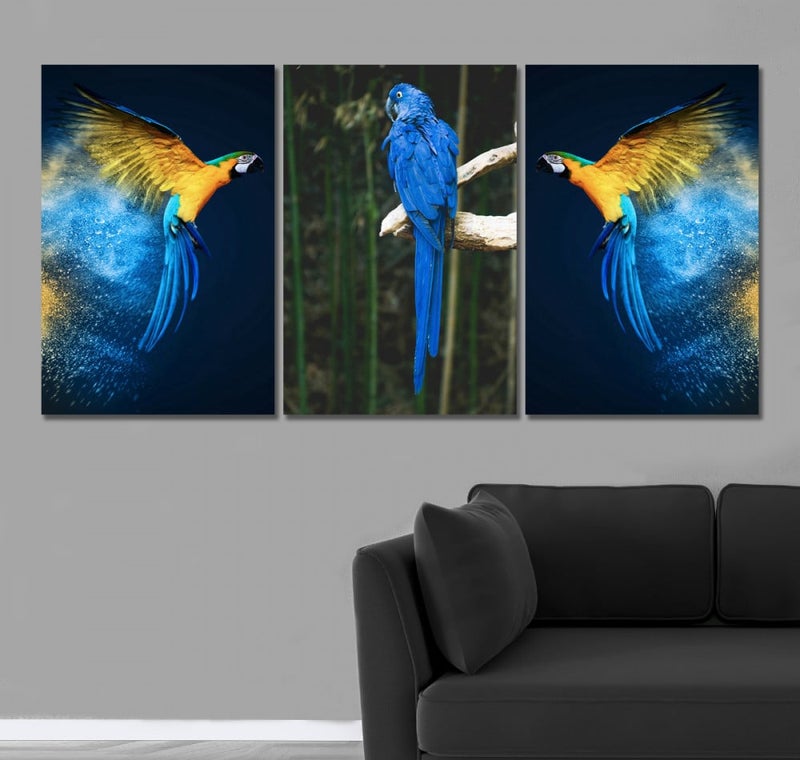 Marktna Three parrot-themed canvas prints with a hollow frame, measuring (150×70), three pieces - Image 1